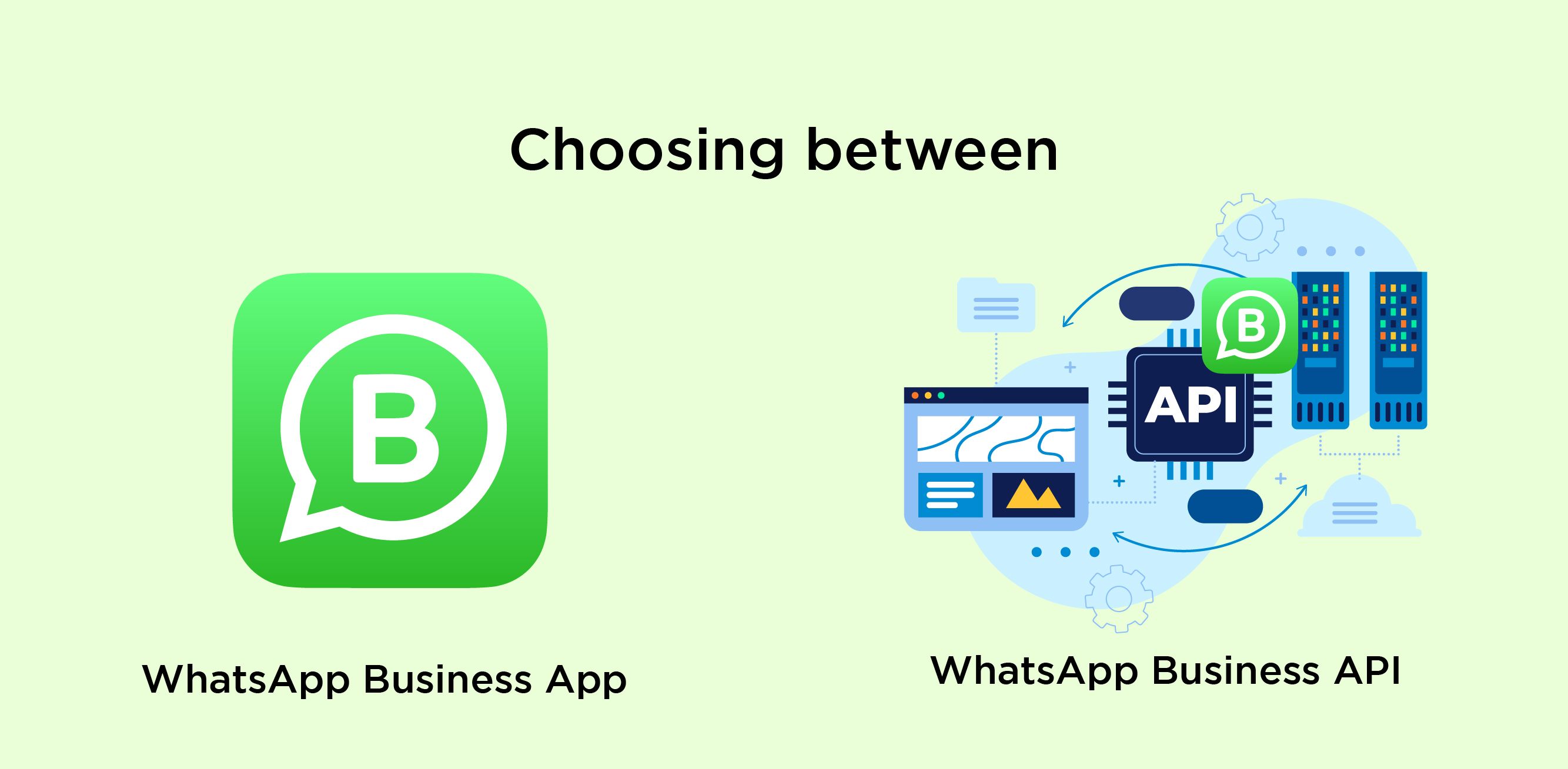 Choosing between WhatsApp Business App and WhatsApp Business API